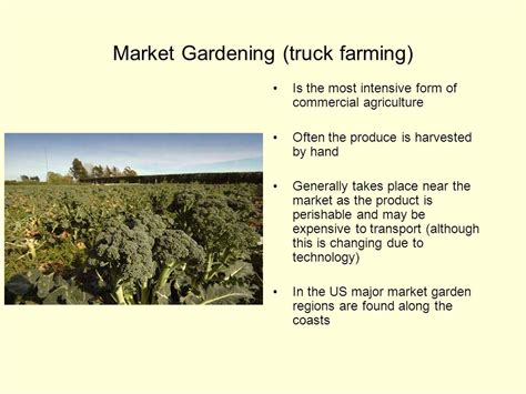 Commercial Gardening. Fruits, long growing seasons. Location. Tropic Areas. Climate. Hot and Moist. LDC's or MDC's? MDC's. Extensive/ Intensive Subsistence or Commercial. . 