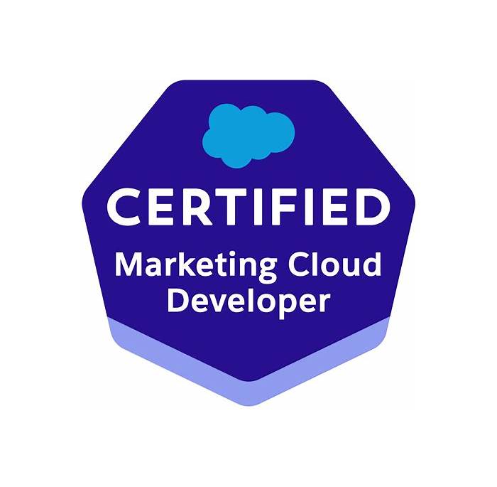 Marketing-Cloud-Developer Trainingsunterlagen