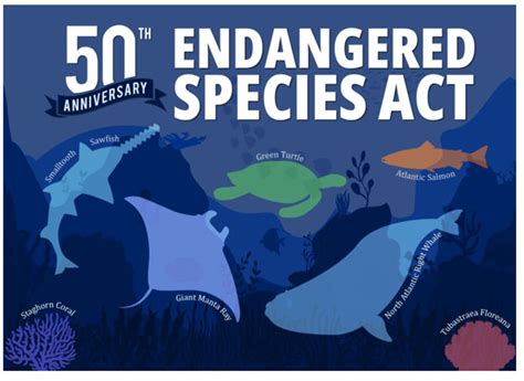 Marking the 50th anniversary of the Endangered Species Act