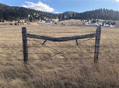 Marks-Miller Post & Pole Inc, 15 Lump Gulch Rd, Clancy, MT, …