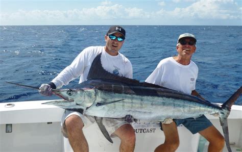 Marlin fishing in Mauritius Elite Voyage