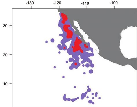 Marlin kernel.  Its striped partitioning scheme ensures strong performance across va...