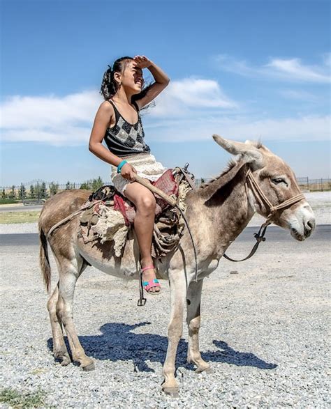 Marliyn chambers fucks donkey.  Informa&ccedil;&otilde;es sobre Pizza Por Metro - PPM, Pizzari...