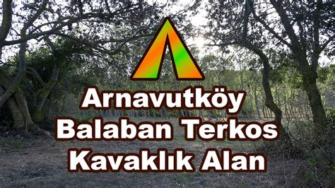 veodersti.rgarabwor.edu.pl. 