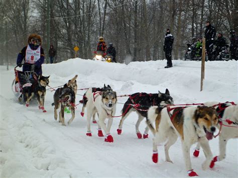 Marquette Dog Sled Race 2023