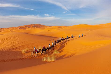 Marrakech Desert & Palm Grove Quad Bike Tour GetYourGuide