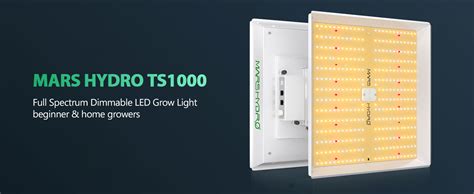 Mars hydro ts 1000 yield.  Featuring the latest SMD LED technology, the TS 1000 can .  TS1000 i...