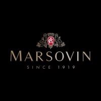 Marsovin Winery LinkedIn