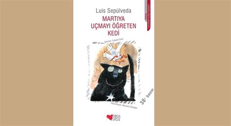 Martıya Uçmayı Öğreten Kedi Kitabının Özeti ~ Ders Türkçe.