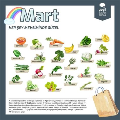 codini.rgarabwor.edu.pl. 