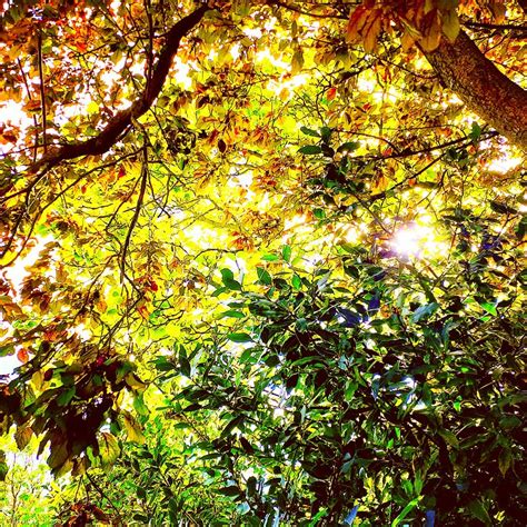 💦 Martellarosana Leaks +18