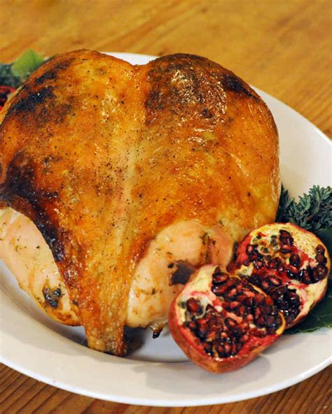 th?q=Martha stewart roast turkey breast