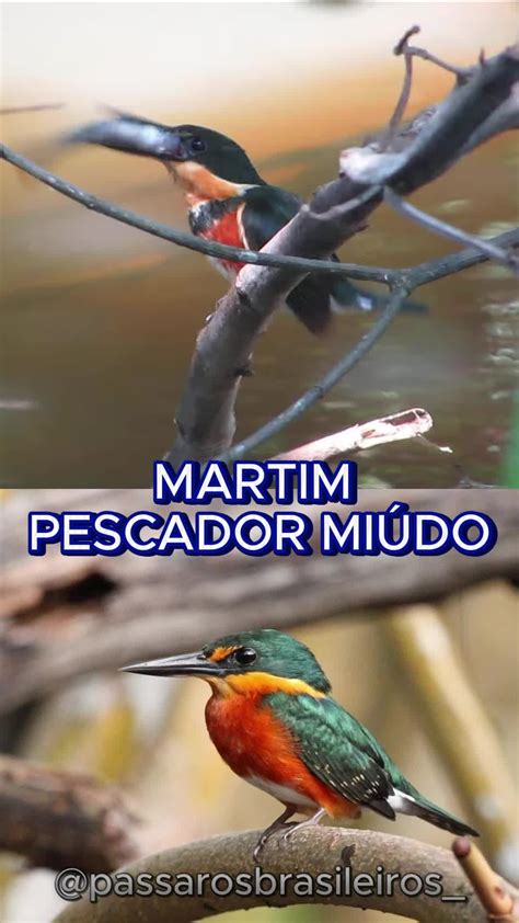 Martinpescador Onlyfans Leak 💦 (SEX)