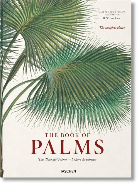 Read Online Martius The Book Of Palms By H Walter Lack