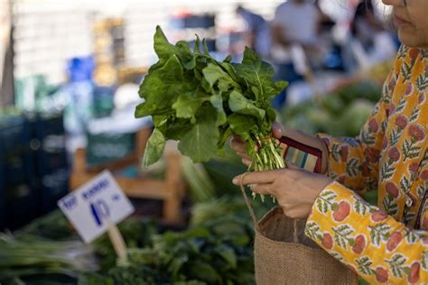 Marullar Halı ve Koltuk Yıkama