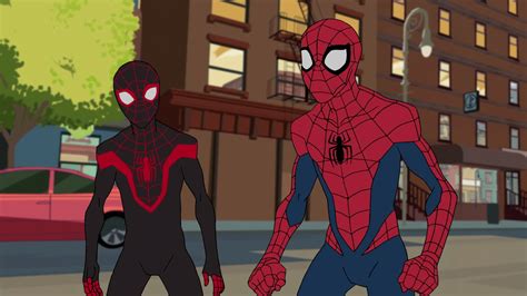 Marvel spider-man show. Peter Benjamin Parker is a former Midtown School of Science and Technology student who gained superhuman abilities and fought crime across New York City as the superhero Spider-Man. While he juggled his hero duties with the demands of his high-school life, he was recruited by Tony Stark to join the Avengers Civil War, … 