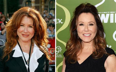 Mary McDonnell Plastic Surgery Before and After …