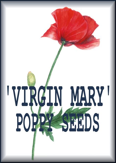 Mary Poppy Facebook Miami
