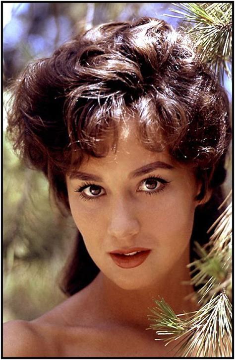Marya Carter 