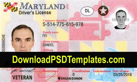 Maryland drivers license replacement. Things To Know About Maryland drivers license replacement. 