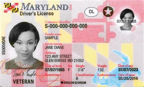 Maryland driving record. The Maryland Motor Vehicle Administration (MVA) recently announced the addition of the Department of Transportation (DOT) Medical Certificate information to their Instant Online Driver Records Service.. The delivery of this information for Commercial Driver’s License (CDL) holders complies with the … 