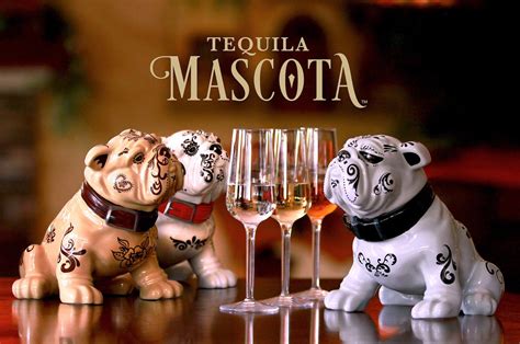 Mascota tequila. Mascota Tequila Reposado (Gray Dog Bottle 750ml). The fully mature agave plants that are harvested to make Mascota Tequila, are cultivated … 