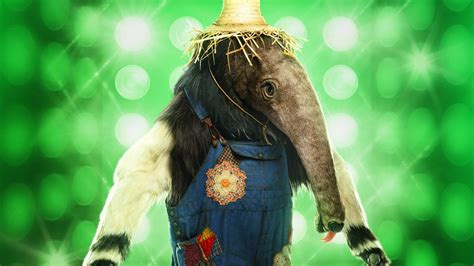 Masked singer anteater. Things To Know About Masked singer anteater. 