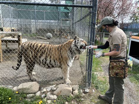 Masked_Zookeeper Onlyfans Leak [HD] 😈 223 Photos