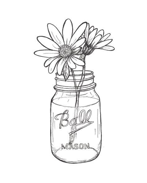 Mason Jar With Flowers Drawing