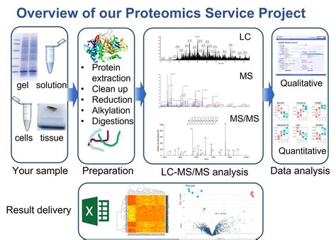 Mass Spectrometry Data Analysis In Proteomics Reprint