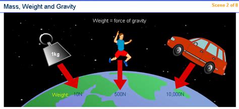 Mass vs Weight Chemistry Quiz - Quizizz