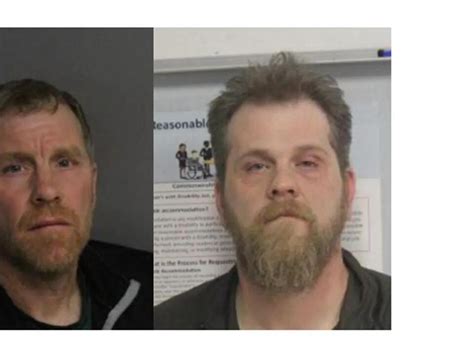 Massachusetts brothers arrested after illegally killing deer and fox: State Police