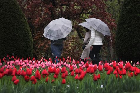 Massachusetts weather outlook: After rain, ‘unsettled’ week with below normal temps