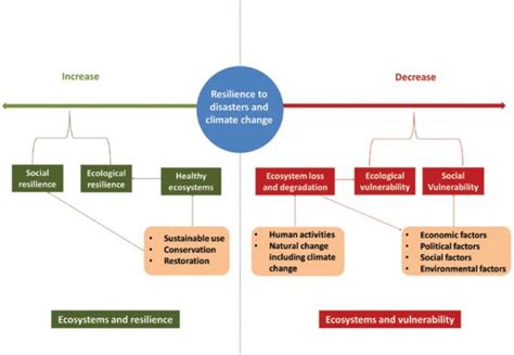 Massive Open Online Course: Nature-based Solutions for Disaster …