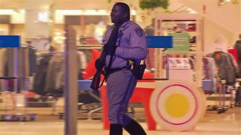 Massive police response brings mall safety into question