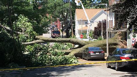 Massive tree falls onto street in Dorchester