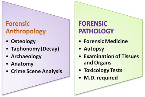 Master's degree in pathology. Things To Know About Master's degree in pathology. 