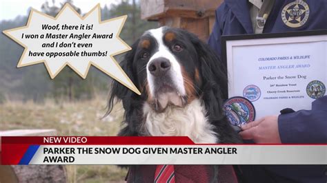Master Angler Award given to Parker the Snow Dog