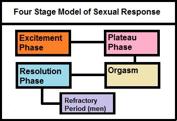 Master and johnson research