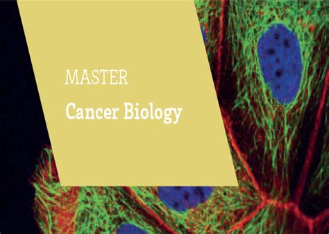 Master cancer biology. Things To Know About Master cancer biology. 
