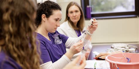 Master of Science in Nursing Capital University, Columbus Ohio