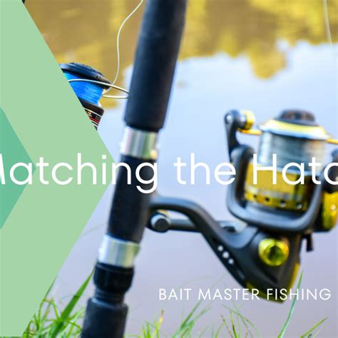 Master the Art of Catching Fish in: An In-Depth Guide for Anglers