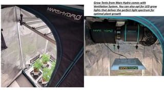 Master the Heat: Unlocking the Secrets of Grow Tent Heating for Optimal Plant Growth