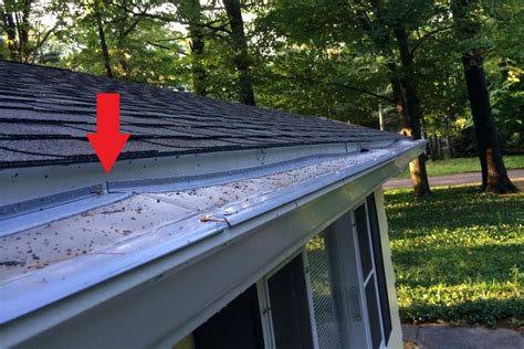 MasterShield Vs. LeafFilter: Gutter Guard System Comparison