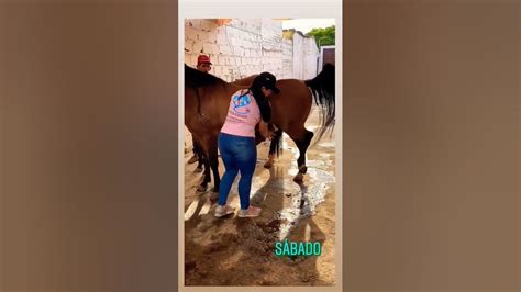 Masterbating a hores.  Discover engaging videos about masturbating-while-riding-a-ho...