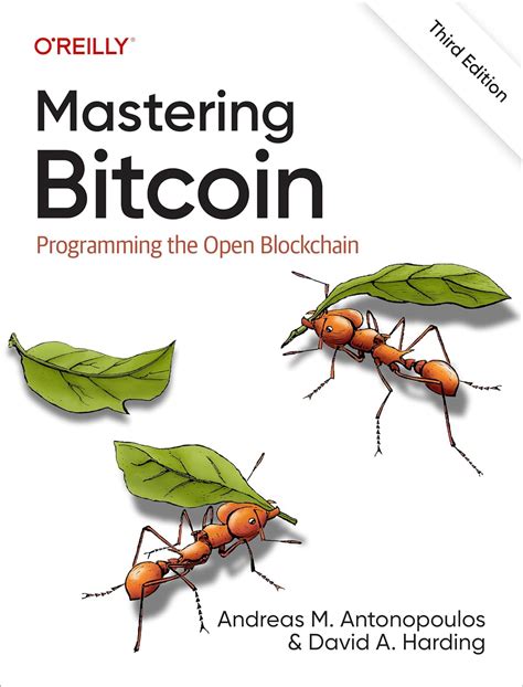 Mastering Bitcoin: Beyond the Surface-Level Concerns