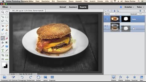 Mastering Masking Techniques in Photoshop Elements.