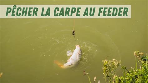 Matériel pour pêcher la carpe au feeder : le guide complet