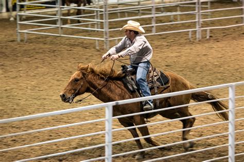  PRCA Rodeo News and Information. Main Navigation. News . 