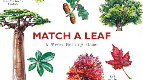 Download Match A Leaf A Tree Memory Game By Tony Kirkham